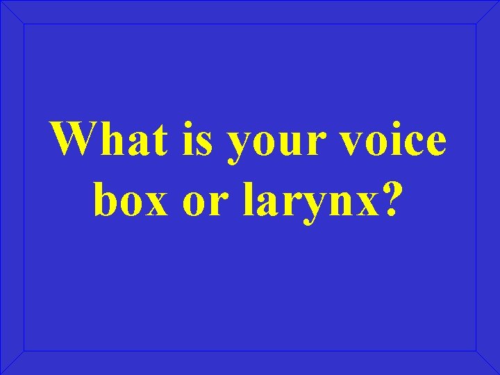 What is your voice box or larynx? 