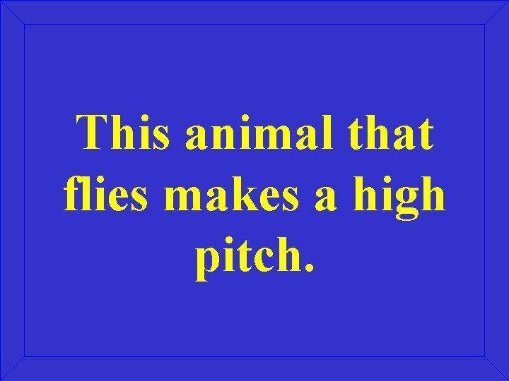 This animal that flies makes a high pitch. 