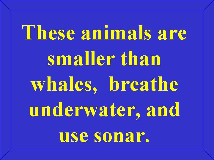 These animals are smaller than whales, breathe underwater, and use sonar. 