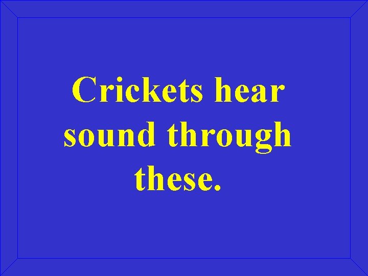 Crickets hear sound through these. 