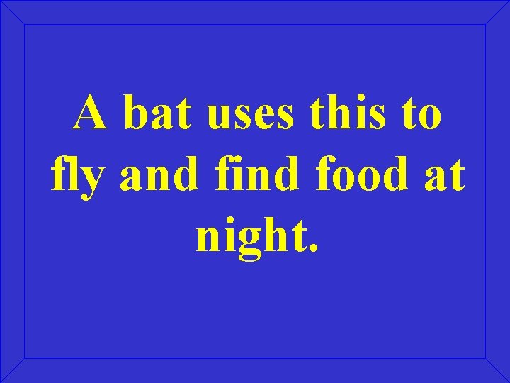 A bat uses this to fly and find food at night. 