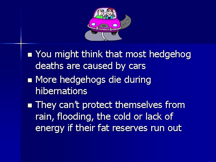 You might think that most hedgehog deaths are caused by cars n More hedgehogs