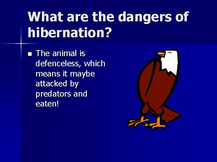 What are the dangers of hibernation? n The animal is defenceless, which means it