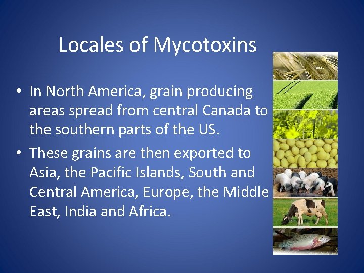 Locales of Mycotoxins • In North America, grain producing areas spread from central Canada