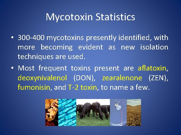 Mycotoxin Statistics • 300 -400 mycotoxins presently identified, with more becoming evident as new