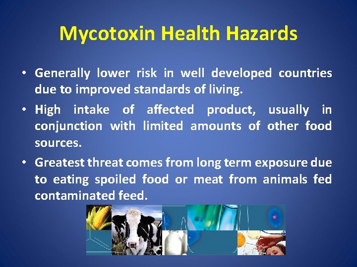 Mycotoxin Health Hazards • Generally lower risk in well developed countries due to improved