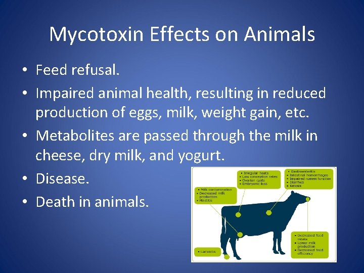 Mycotoxin Effects on Animals • Feed refusal. • Impaired animal health, resulting in reduced