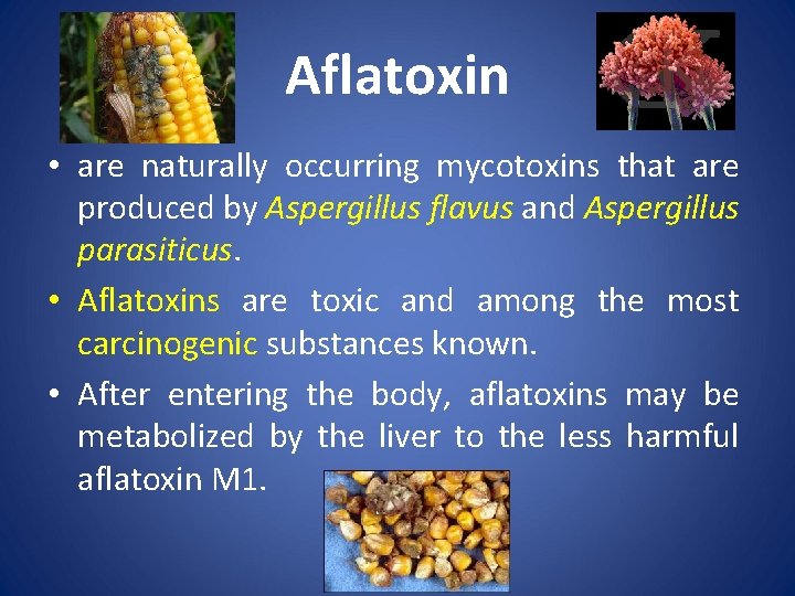 Aflatoxin • are naturally occurring mycotoxins that are produced by Aspergillus flavus and Aspergillus