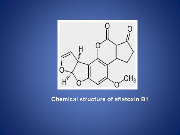 Chemical structure of aflatoxin B 1 