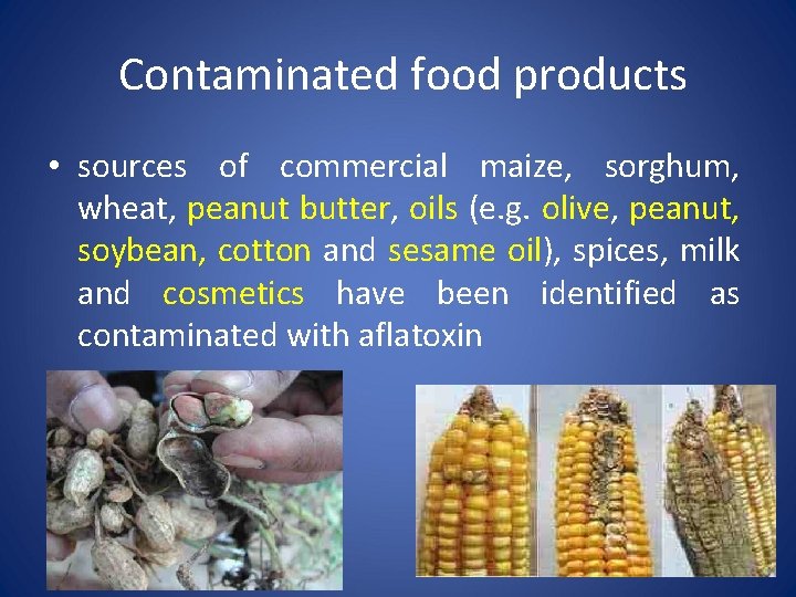  Contaminated food products • sources of commercial maize, sorghum, wheat, peanut butter, oils