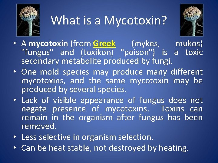 What is a Mycotoxin? • A mycotoxin (from Greek (mykes, mukos) "fungus" and (toxikon)