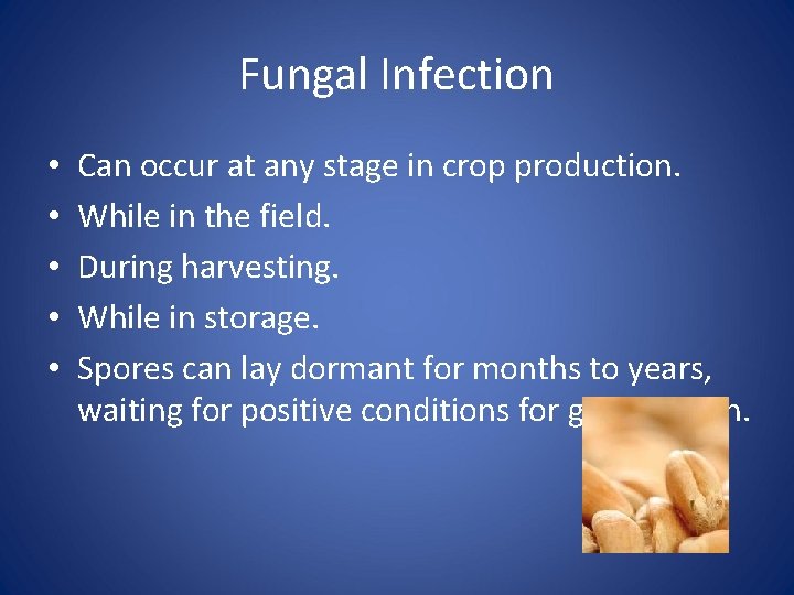 Fungal Infection • • • Can occur at any stage in crop production. While