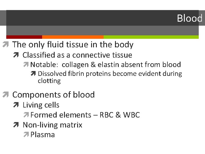 Blood The only fluid tissue in the body Classified as a connective tissue Notable: