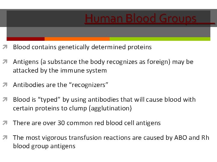 Chapter 10 Blood Blood The only fluid tissue