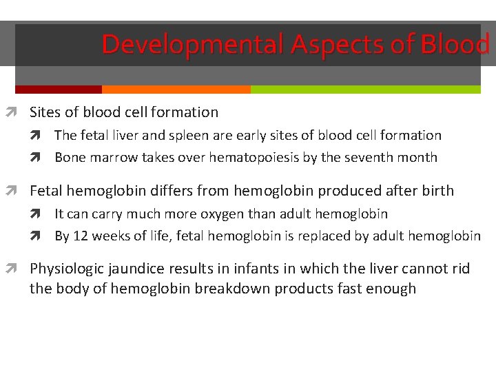Developmental Aspects of Blood Sites of blood cell formation The fetal liver and spleen