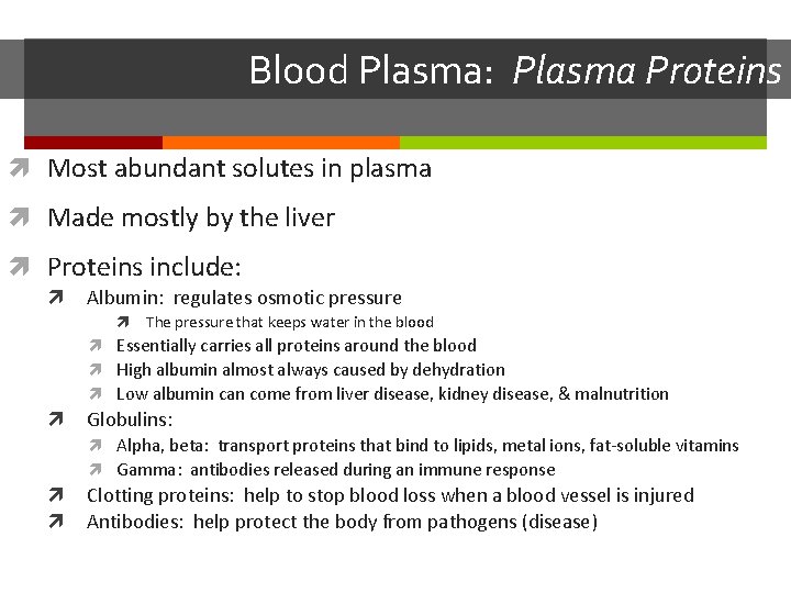 Blood Plasma: Plasma Proteins Most abundant solutes in plasma Made mostly by the liver