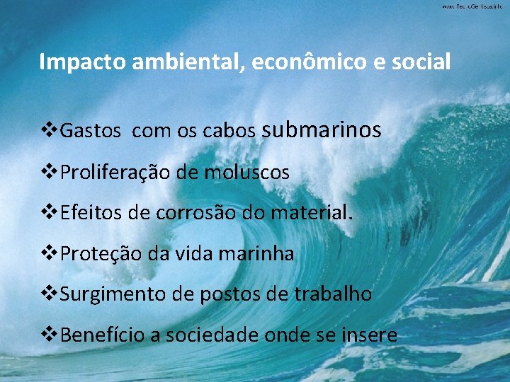 Impacto ambiental, econômico e social v. Gastos com os cabos submarinos v. Proliferação de