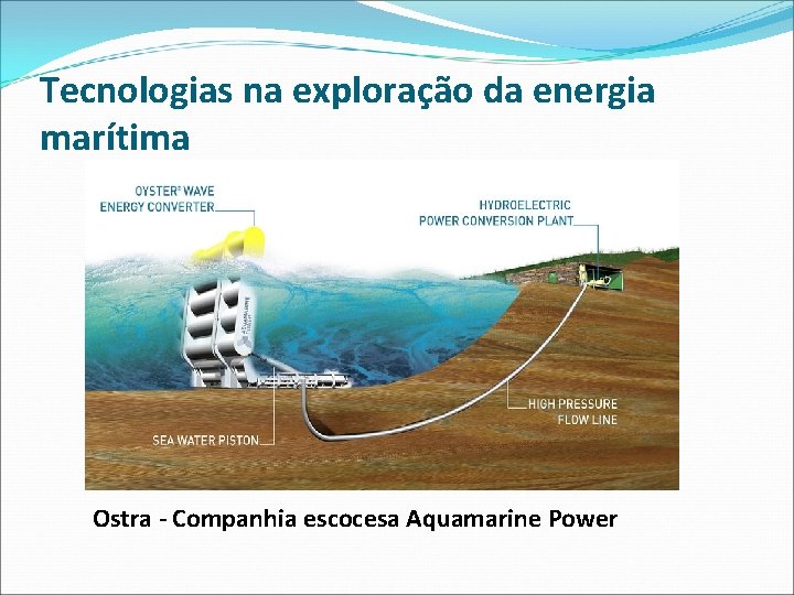 Tecnologias na exploração da energia marítima Ostra - Companhia escocesa Aquamarine Power 