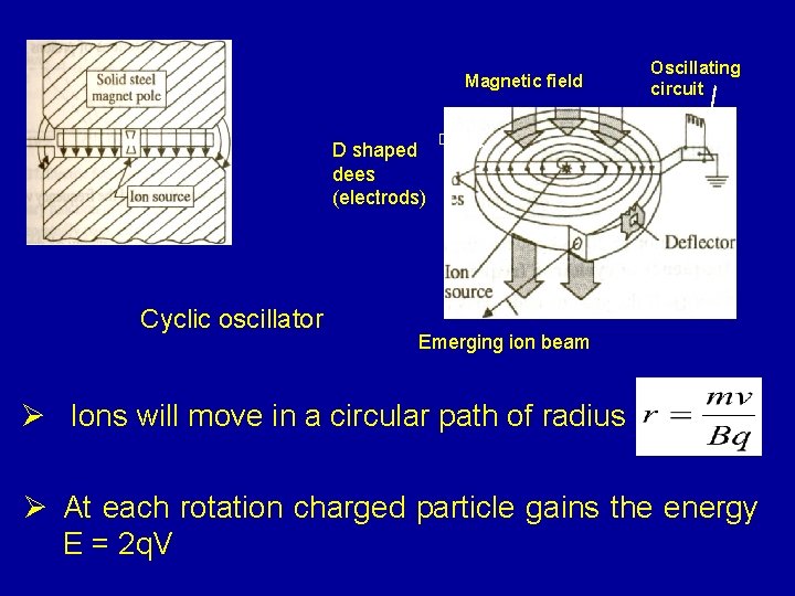 Oscillating circuit Magnetic field D shaped dees (electrods) D 1 D 2 Cyclic oscillator