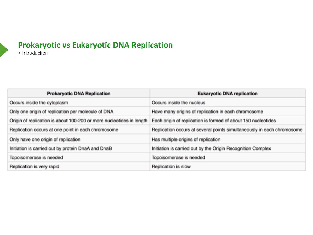Prokaryotic vs Eukaryotic DNA Replication • Introduction 