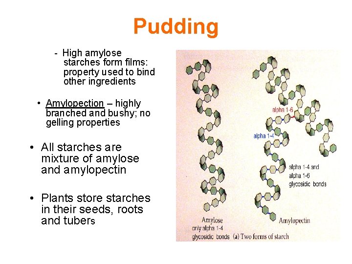 Pudding - High amylose starches form films: property used to bind other ingredients •
