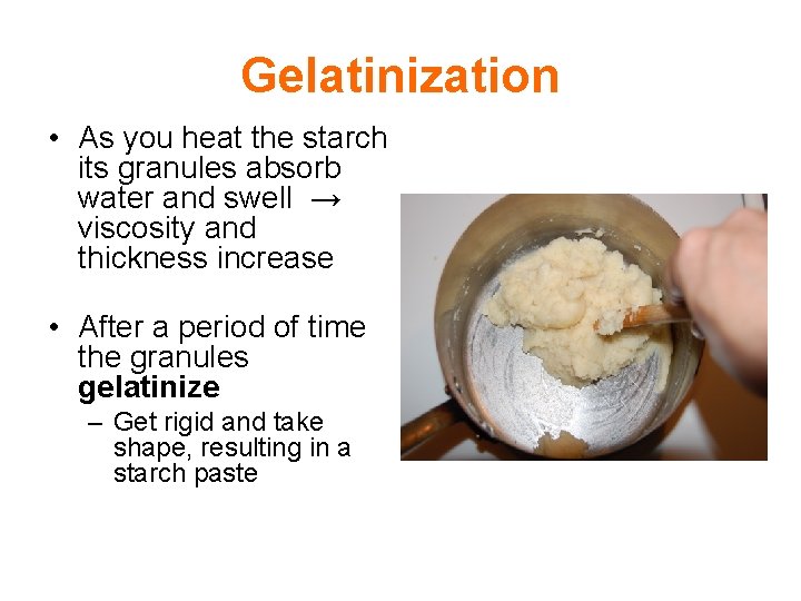 Gelatinization • As you heat the starch its granules absorb water and swell →