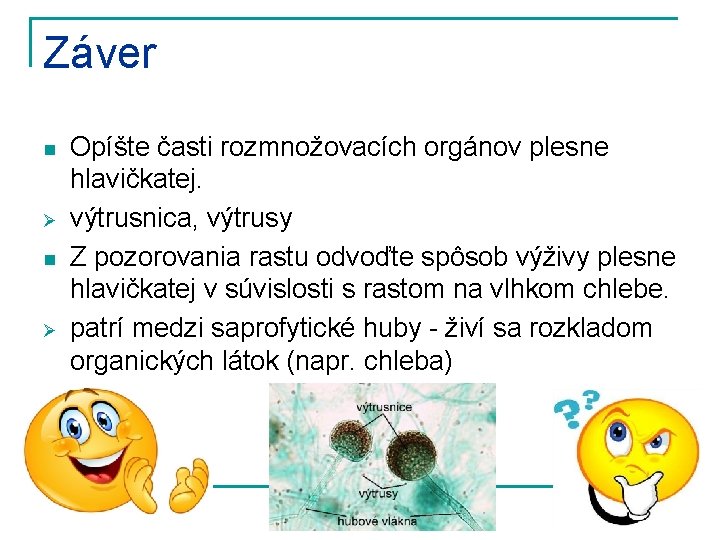 Záver n Ø Opíšte časti rozmnožovacích orgánov plesne hlavičkatej. výtrusnica, výtrusy Z pozorovania rastu