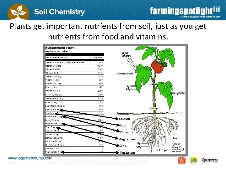 Plants get important nutrients from soil, just as you get nutrients from food and