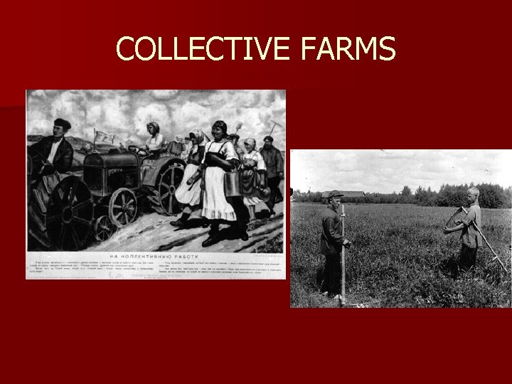 COLLECTIVE FARMS 