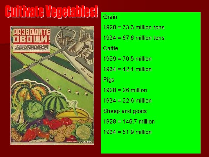 Grain 1928 = 73. 3 million tons 1934 = 67. 6 million tons Cattle