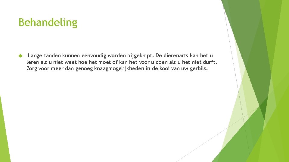 Behandeling Lange tanden kunnen eenvoudig worden bijgeknipt. De dierenarts kan het u leren als