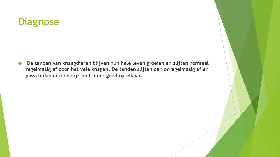 Diagnose De tanden van knaagdieren blijven hun hele leven groeien en slijten normaal regelmatig