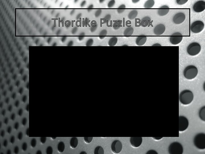 Thordike Puzzle Box 