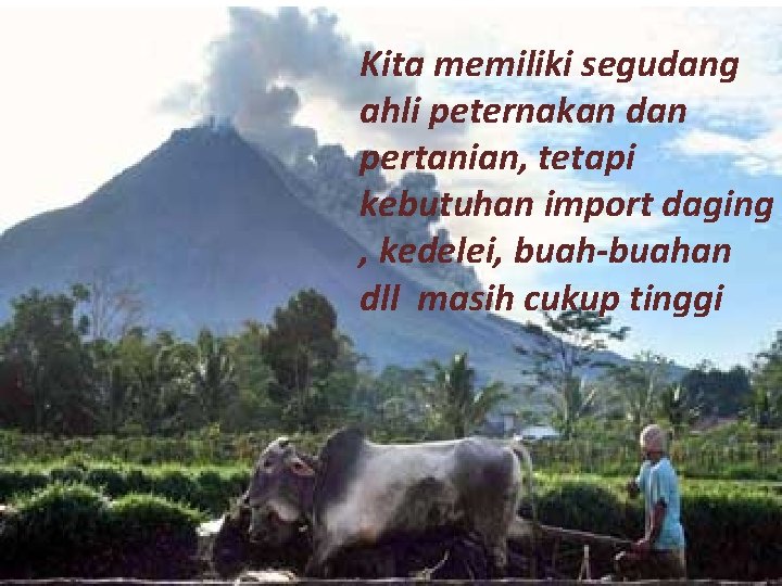 Kita memiliki segudang ahli peternakan dan pertanian, tetapi kebutuhan import daging , kedelei, buah-buahan