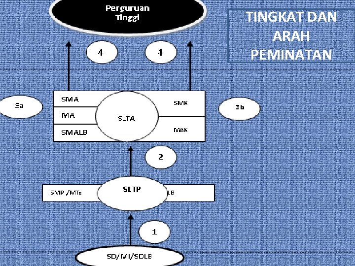 TINGKAT DAN ARAH PEMINATAN 