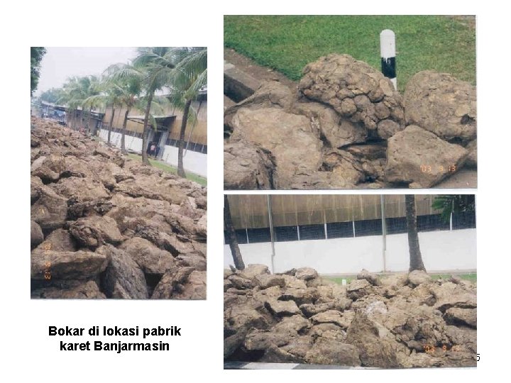 Bokar di lokasi pabrik karet Banjarmasin 15 