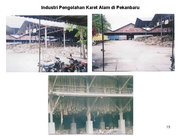 Industri Pengolahan Karet Alam di Pekanbaru 19 