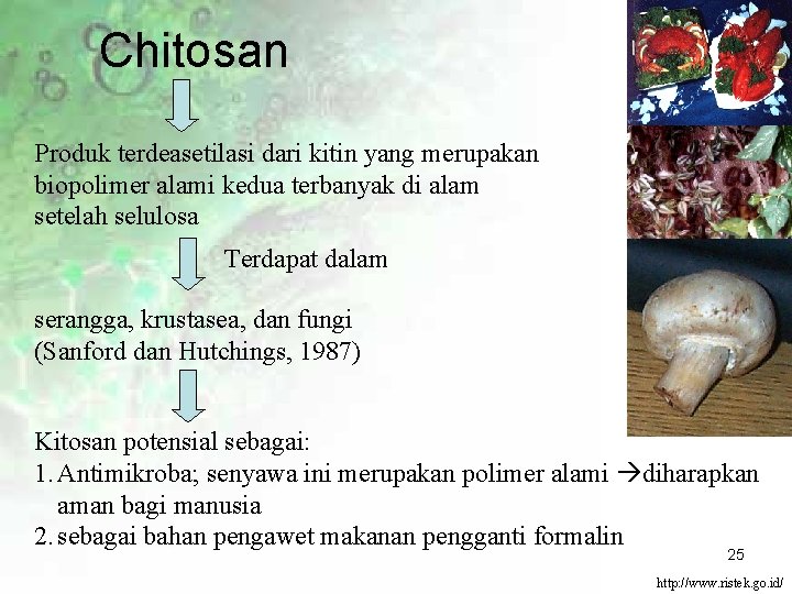 Chitosan Produk terdeasetilasi dari kitin yang merupakan biopolimer alami kedua terbanyak di alam setelah