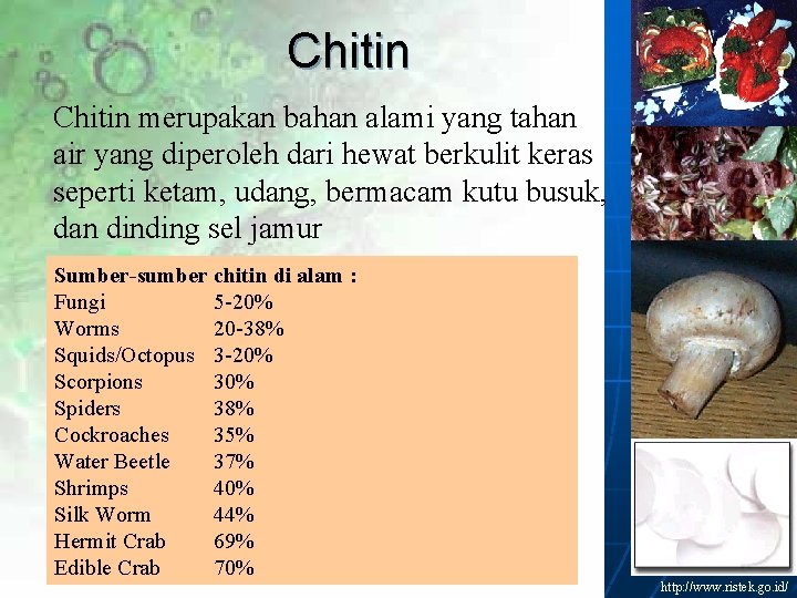 Chitin merupakan bahan alami yang tahan air yang diperoleh dari hewat berkulit keras seperti