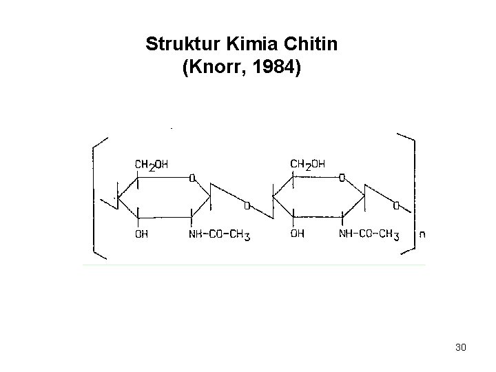 Struktur Kimia Chitin (Knorr, 1984) 30 
