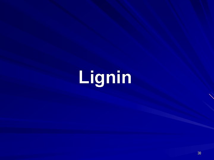 Lignin 38 