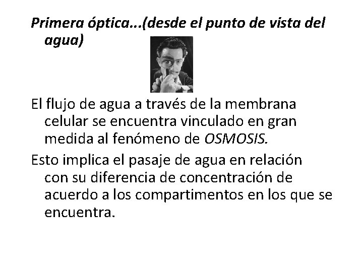 Primera óptica. . . (desde el punto de vista del agua) El flujo de