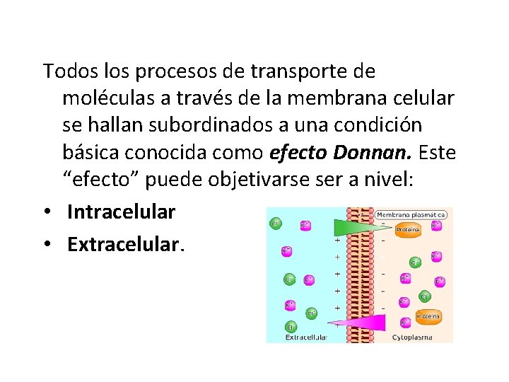Todos los procesos de transporte de moléculas a través de la membrana celular se