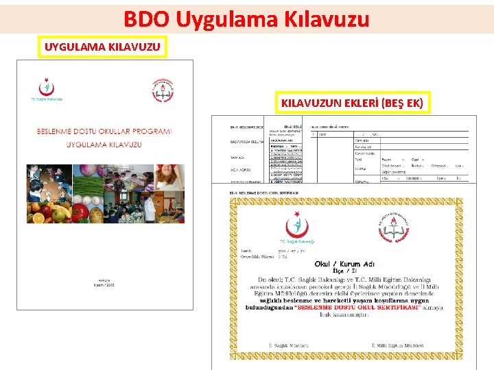 BDO Uygulama Kılavuzu UYGULAMA KILAVUZUN EKLERİ (BEŞ EK) 