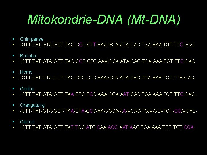 Mitokondrie-DNA (Mt-DNA) • • Chimpanse -GTT-TAT-GTA-GCT-TAC-CCC-CTT-AAA-GCA-ATA-CAC-TGA-AAA-TGT-TTC-GAC- • • Bonobo -GTT-TAT-GTA-GCT-TAC-CCC-CTC-AAA-GCA-ATA-CAC-TGA-AAA-TGT-TTC-GAC- • • Homo -GTT-TAT-GTA-GCT-TAC-CTC-AAA-GCA-ATA-CAC-TGA-AAA-TGT-TTA-GAC-