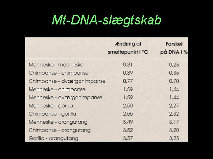 Mt-DNA-slægtskab 