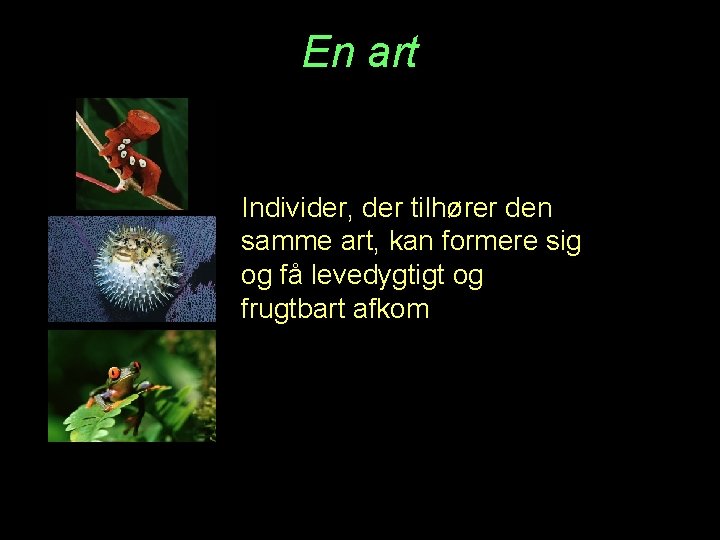 En art Individer, der tilhører den samme art, kan formere sig og få levedygtigt