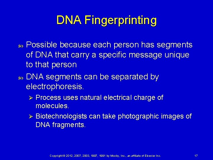 DNA Fingerprinting Possible because each person has segments of DNA that carry a specific