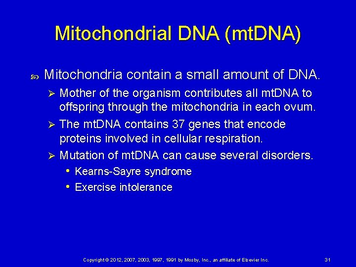 Mitochondrial DNA (mt. DNA) Mitochondria contain a small amount of DNA. Mother of the