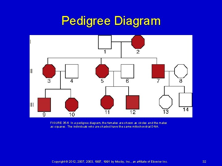 Pedigree Diagram FIGURE 35 6 In a pedigree diagram, the females are shown as circles